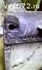 Ремонт радиаторов и автопластика в Тюмени